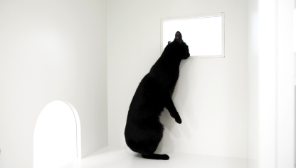 コンフォートルーム