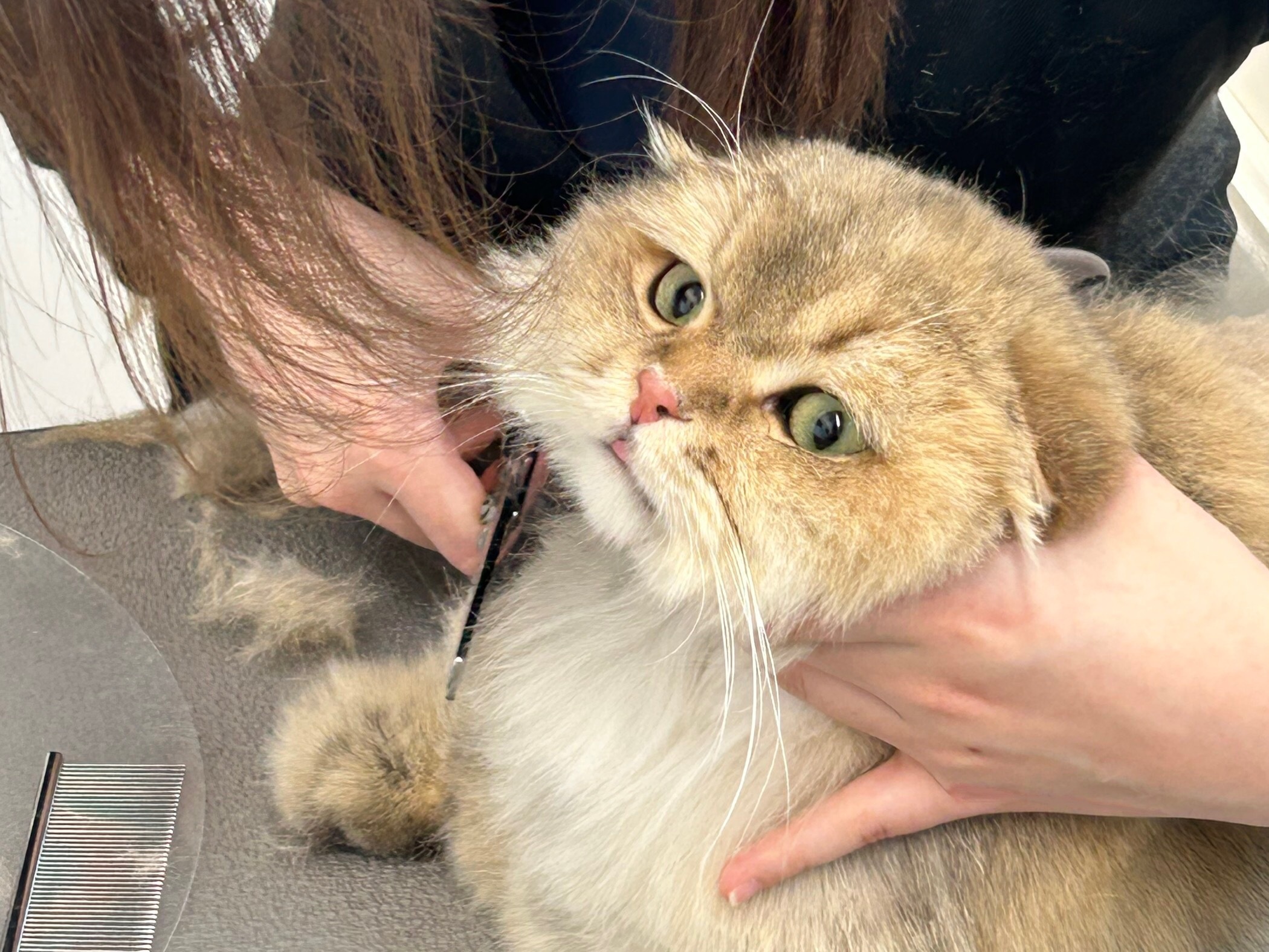 シャンプー&全身スタイルコース